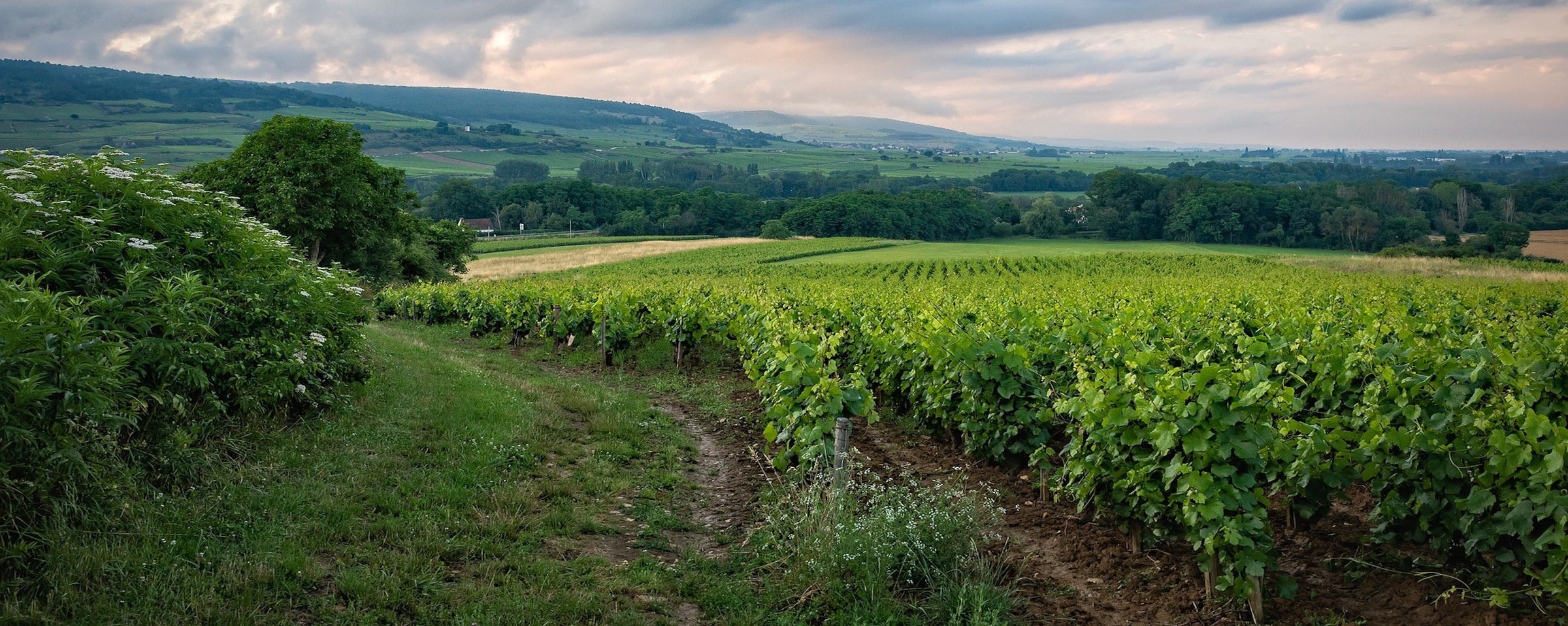 Bourgogne-Franche-Comté