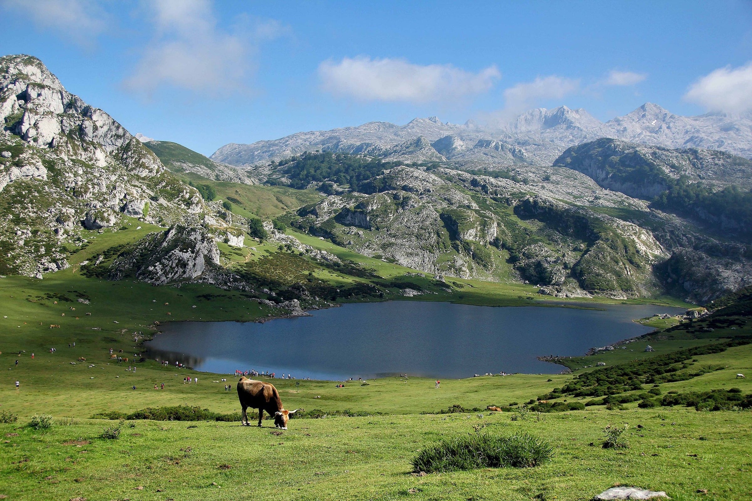 Hautes-Pyrénées (département 65)