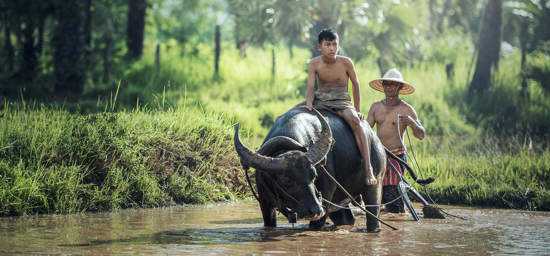 Laos