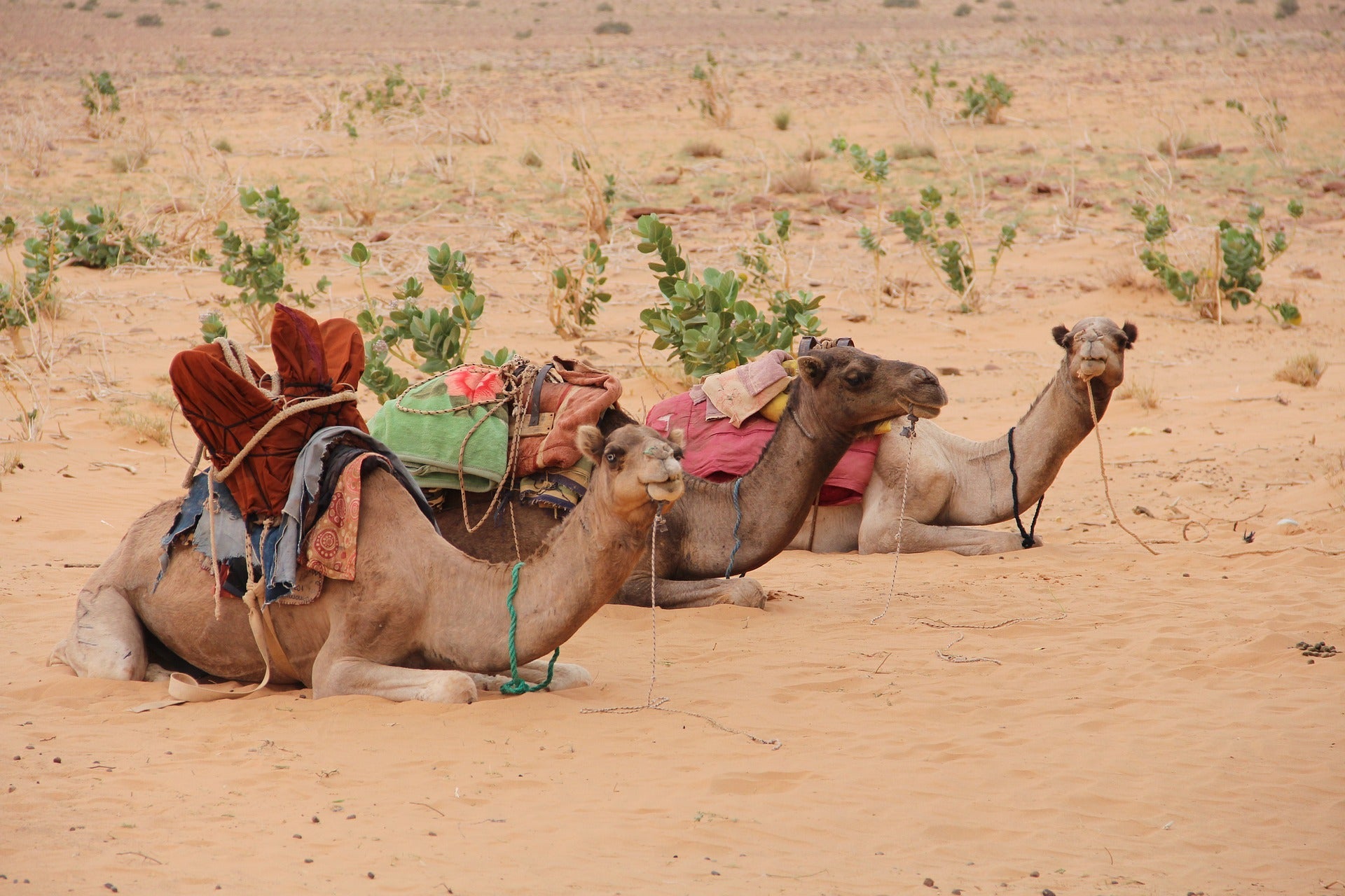 Mauritanie