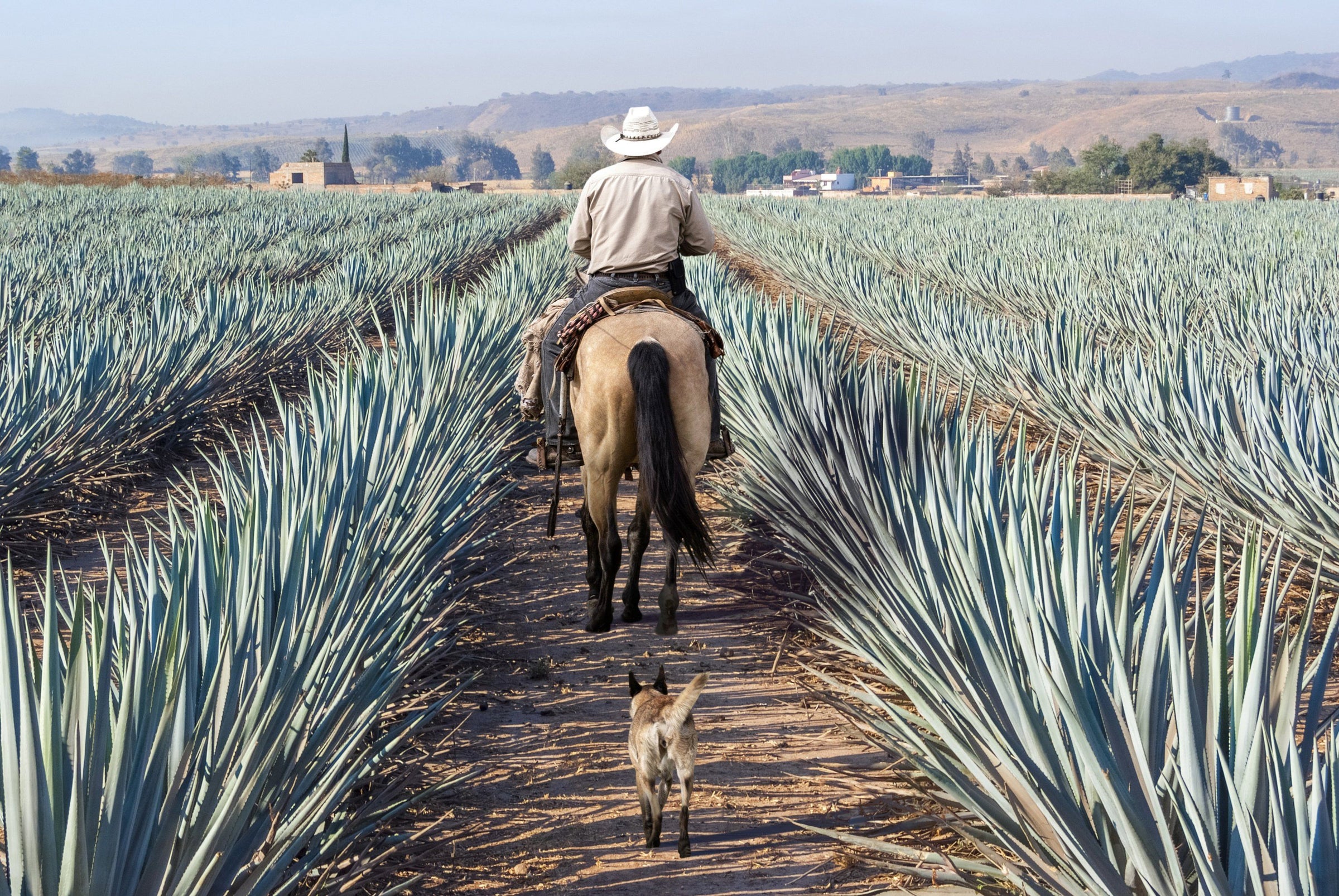 Mexique