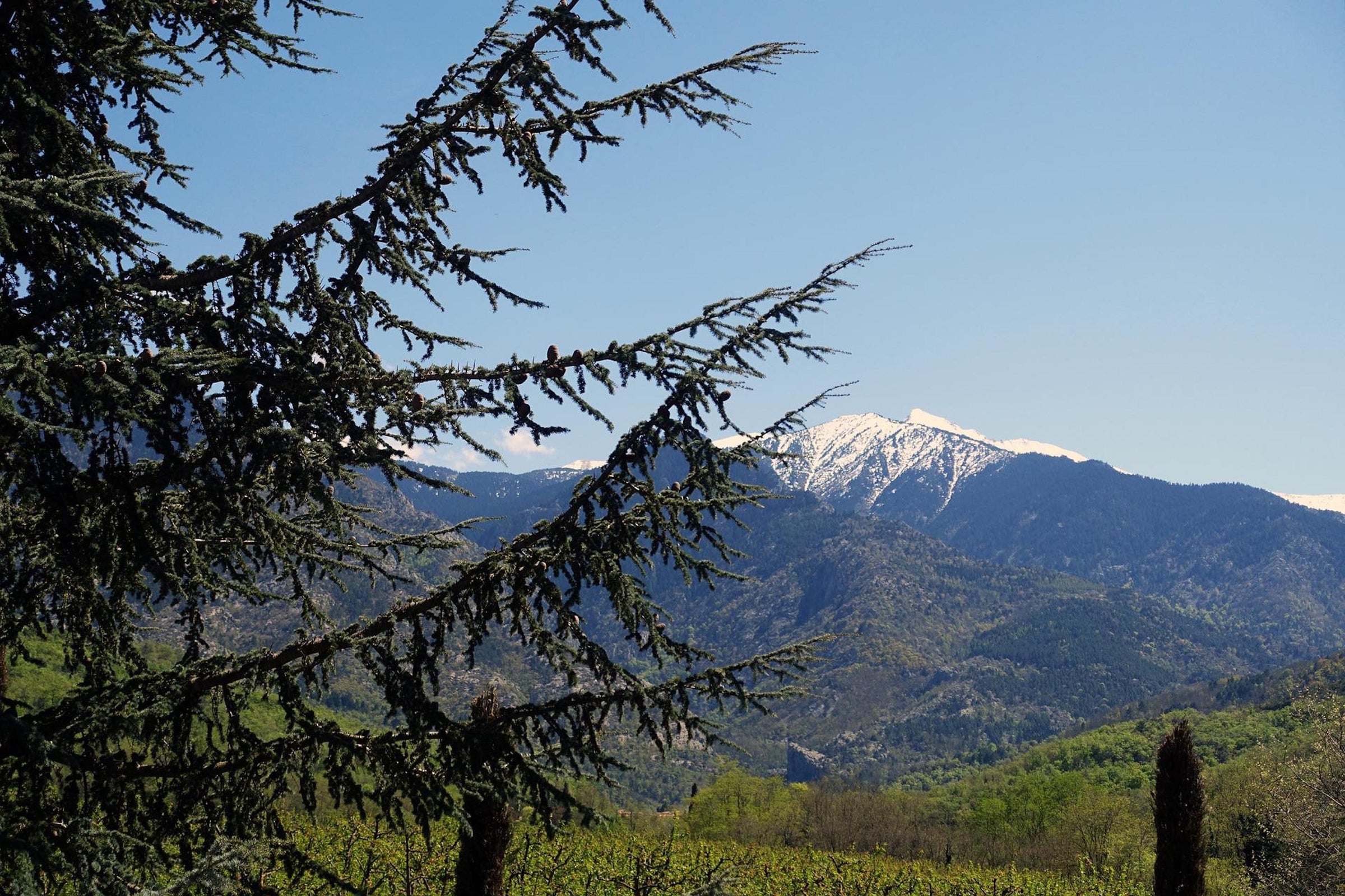 Pyrénées-Orientales (département 66)