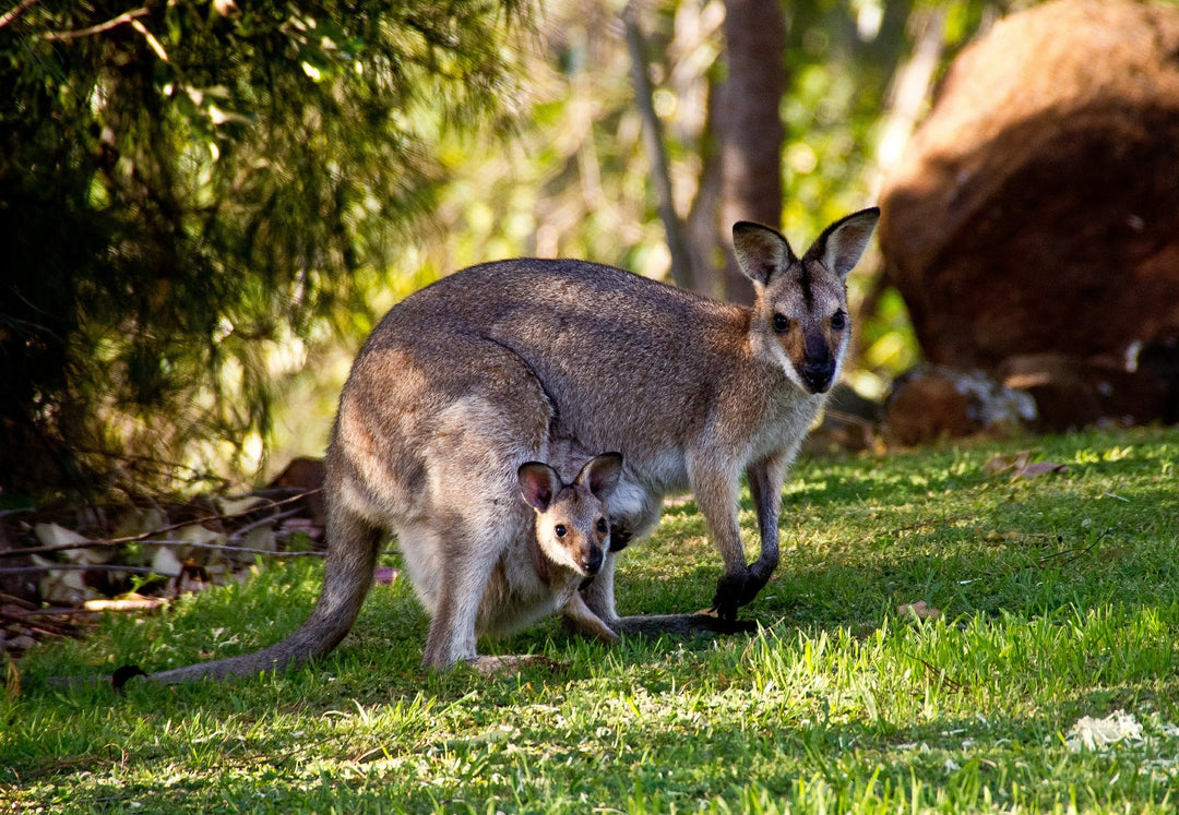 Queensland