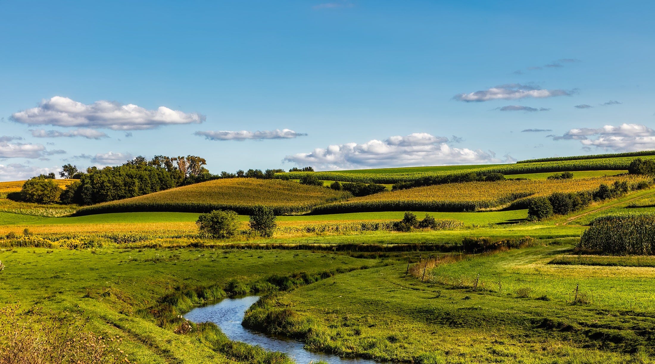 Wisconsin