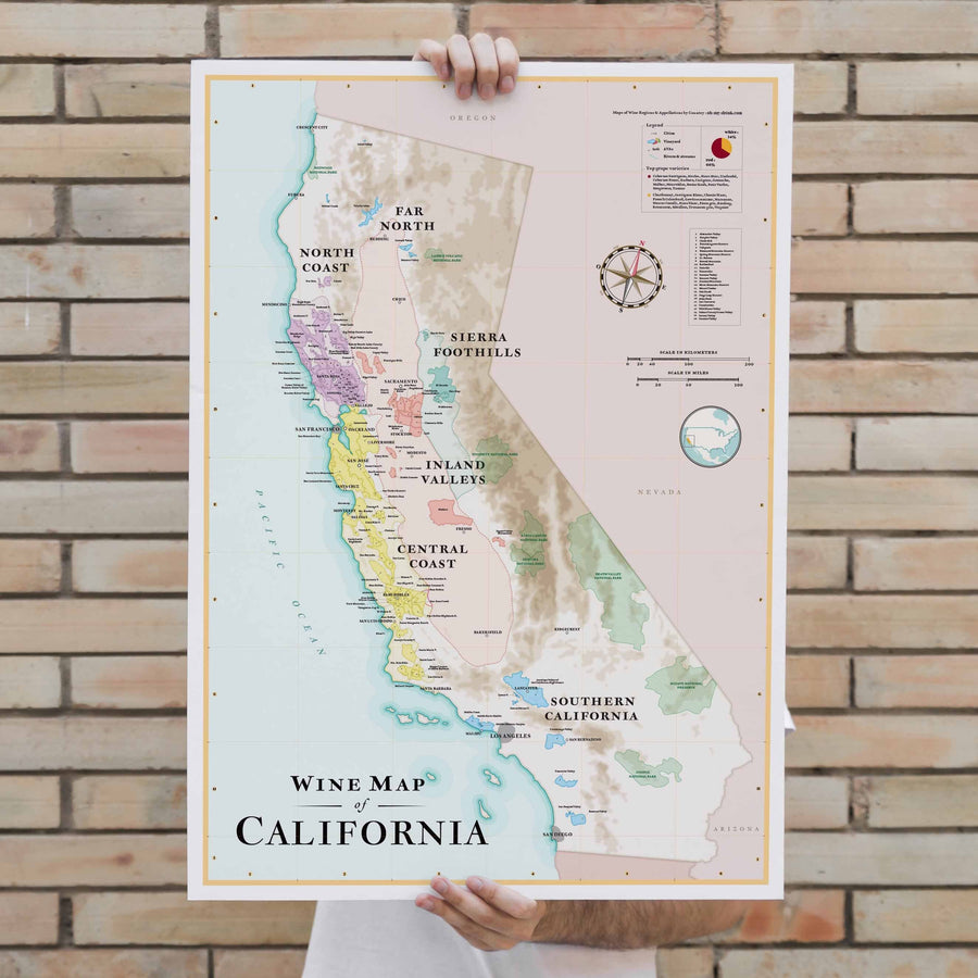 Affiche - Carte des vins de la Californie - 50 x 70 cm carte murale petit tube La carte des vins 