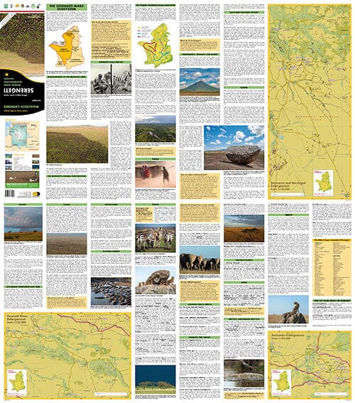 Carte détaillée - Serengeti, Masai Mara, Ngorogoro and Oldupai | Harvey Maps carte pliée Harvey Maps 