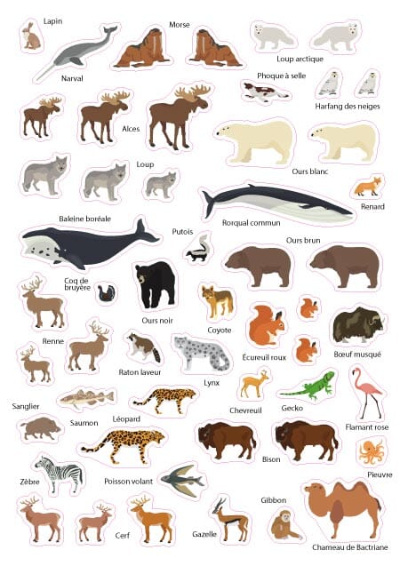 Carte murale plastifiée pour enfants - Monde des animaux (84 x 60 cm), avec 140 autocollants | GeoMetro carte murale petit tube taux réduit GeoMetro 