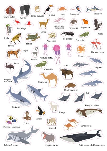 Carte murale plastifiée pour enfants - Monde des animaux (84 x 60 cm), avec 140 autocollants | GeoMetro carte murale petit tube taux réduit GeoMetro 