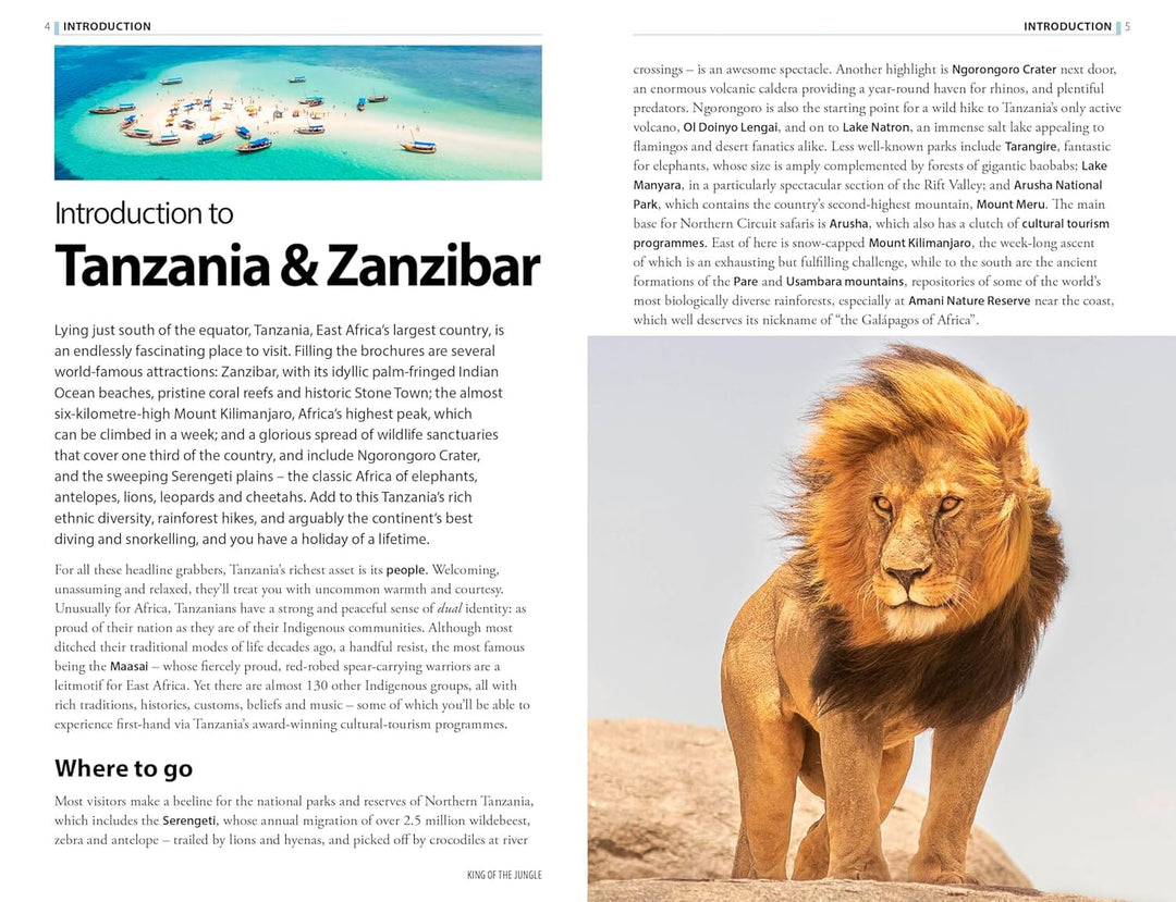 Guide de voyage (en anglais) - Tanzania & Zanzibar | Rough Guides guide de voyage Rough Guides 