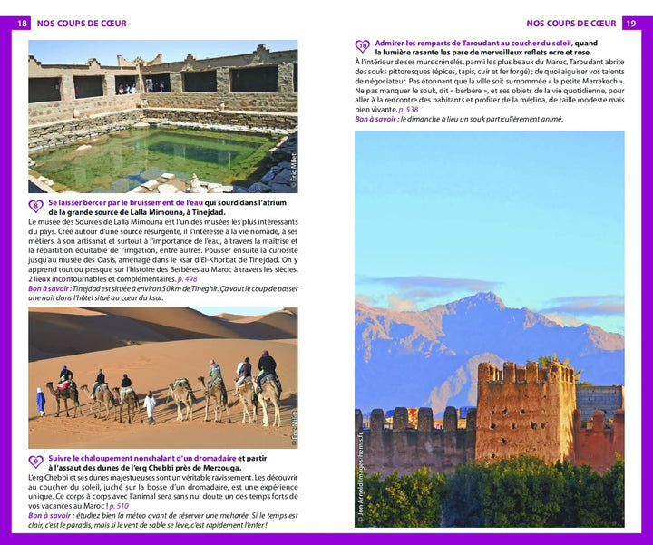 Guide du Routard - Maroc 2024/25 | Hachette guide de voyage Hachette 