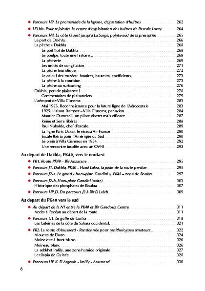 Guide Gandini - Pistes du sud du Maroc : Le Sahara Atlantique - Tome 6 guide de voyage Extrem'Sud - Guides Gandini 