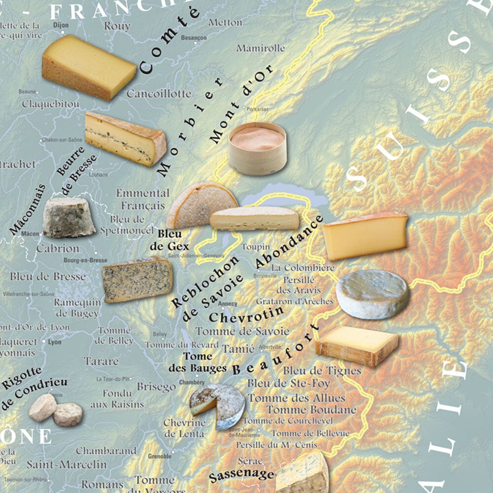 Poster – Carte des fromages AOC de France (80 x 80 cm) | Blay Foldex carte murale hors dimensions Blay Foldex 