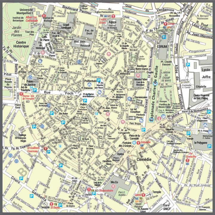 Poster de ville - Montpellier (100 x 90 cm) | Blay Foldex carte murale hors dimensions Blay Foldex 