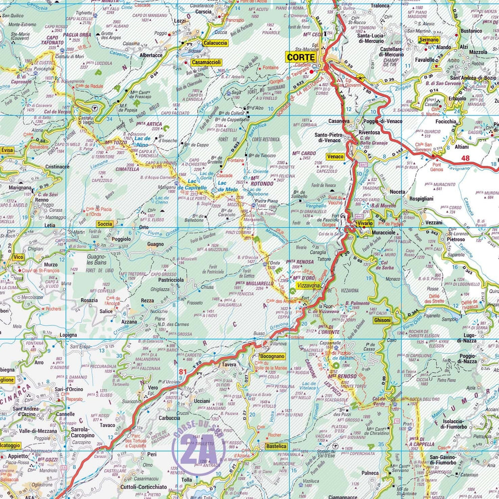 Poster - Haute-Corse (119 x 85 cm) | Blay Foldex carte murale hors dimensions Blay Foldex 