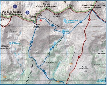 Carte de randonnée hivernale - Tossa Plana, Puigpedros (Pyrénées Catalanes) | Alpina carte pliée Editorial Alpina 