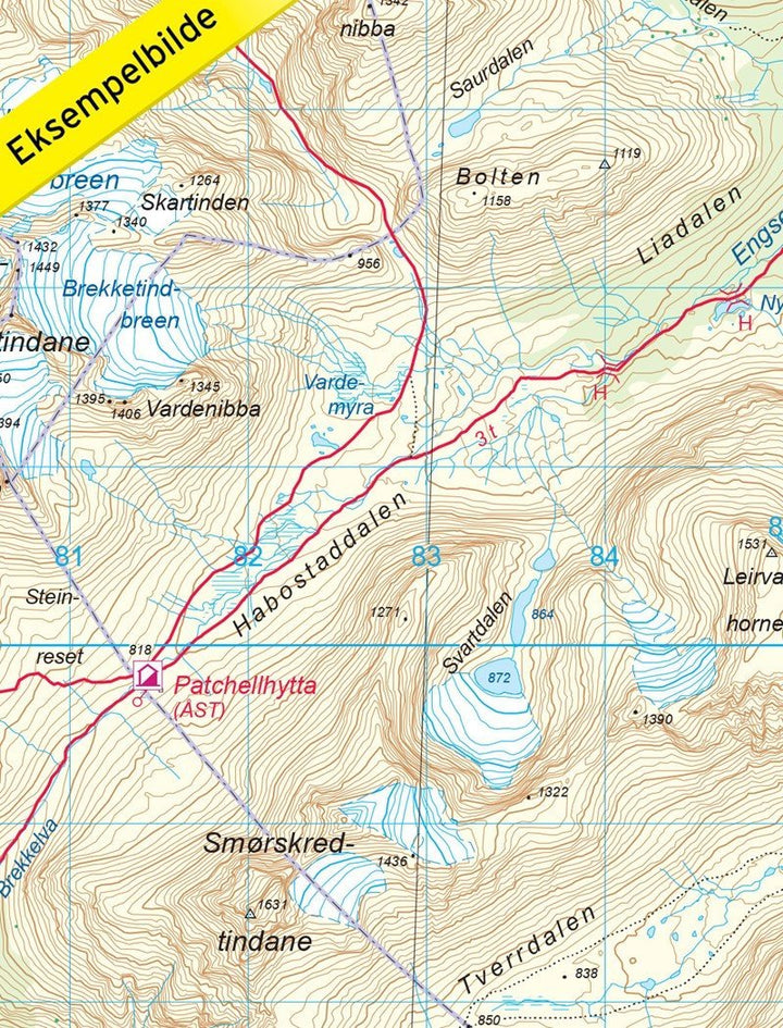 Carte de randonnée n° 2690 - Sunnmørsalpene Øst (Norvège) | Nordeca - Turkart 1/50 000 carte pliée Nordeca 