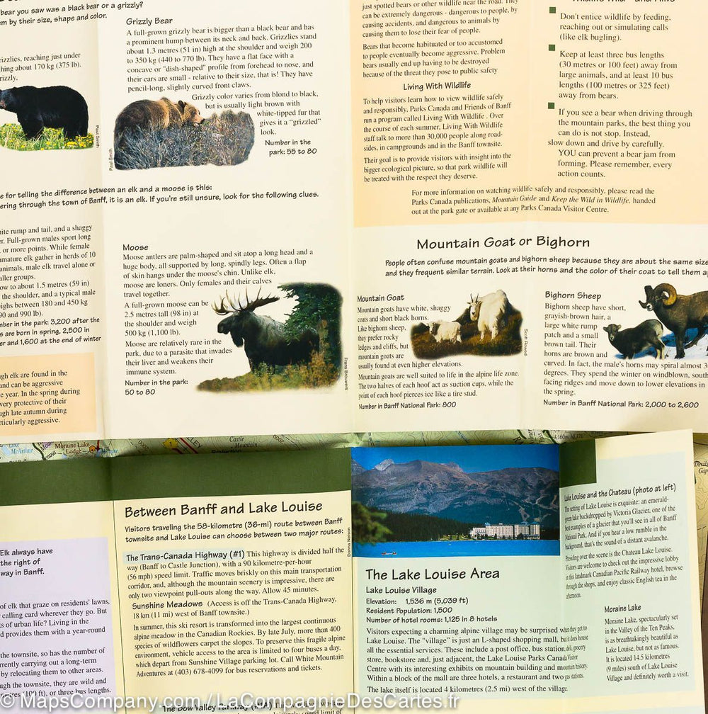 Carte détaillée du Parc National Banff - La Compagnie des Cartes