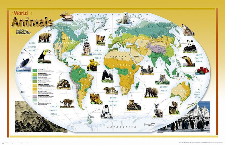 2004 World of Animals Map Wall Map 