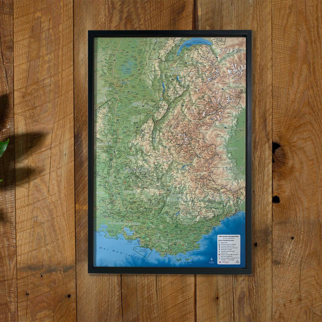 3D Raised Relief Map - The French Alps and its Alpine Massifs - 41 cm x 61  cm | 3D MAP (French)