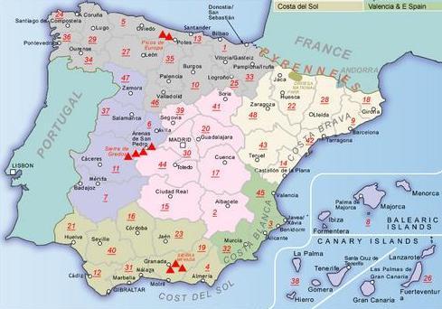 Carte routière provinciale - Pontevedra (Galice, Espagne), n° 36 | CNIG carte pliée CNIG 