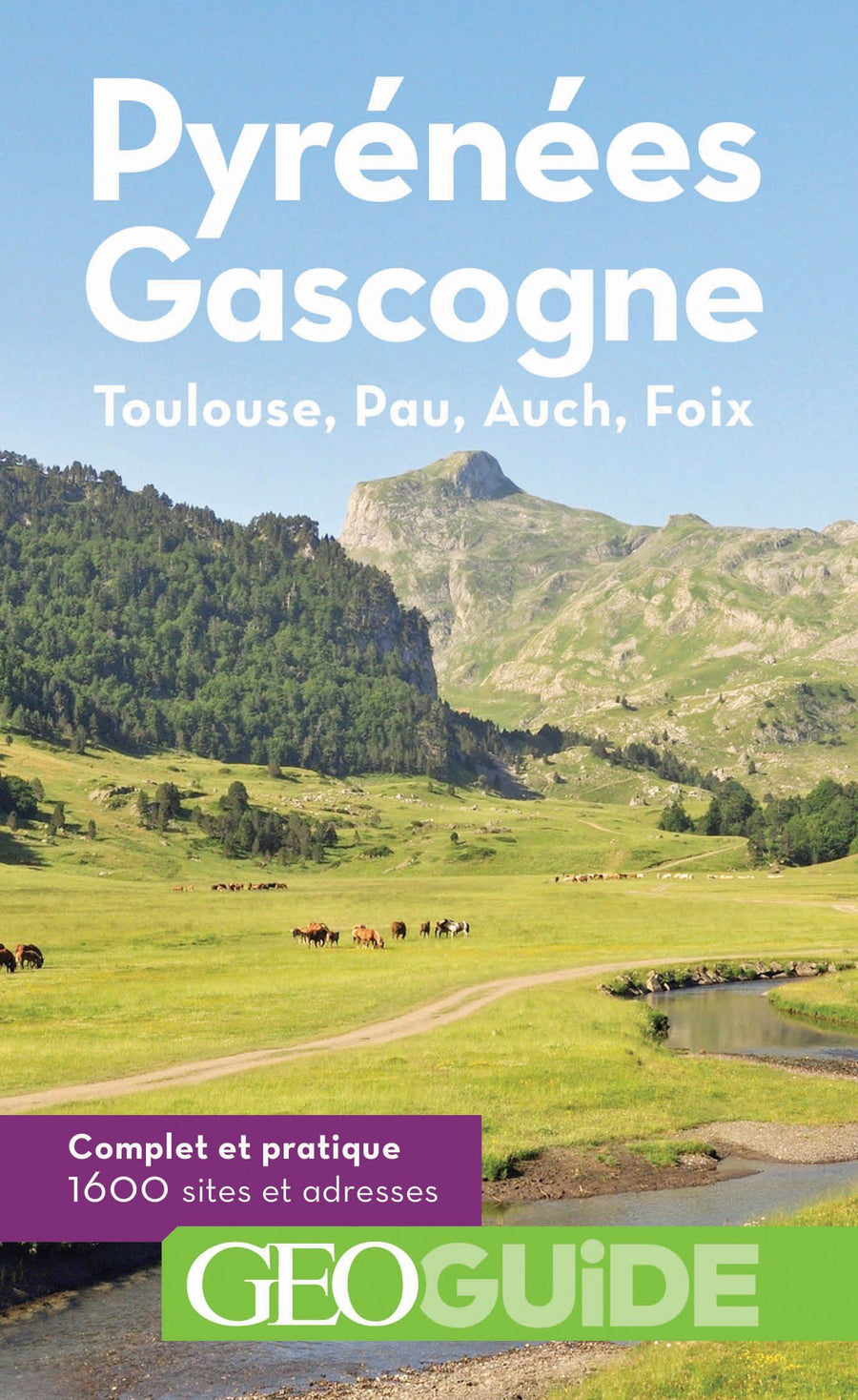 Géoguide - Pyrénées Gascogne (Toulouse, Pau, Auch, Foix) - Édition 2021 | Gallimard guide de voyage Gallimard 