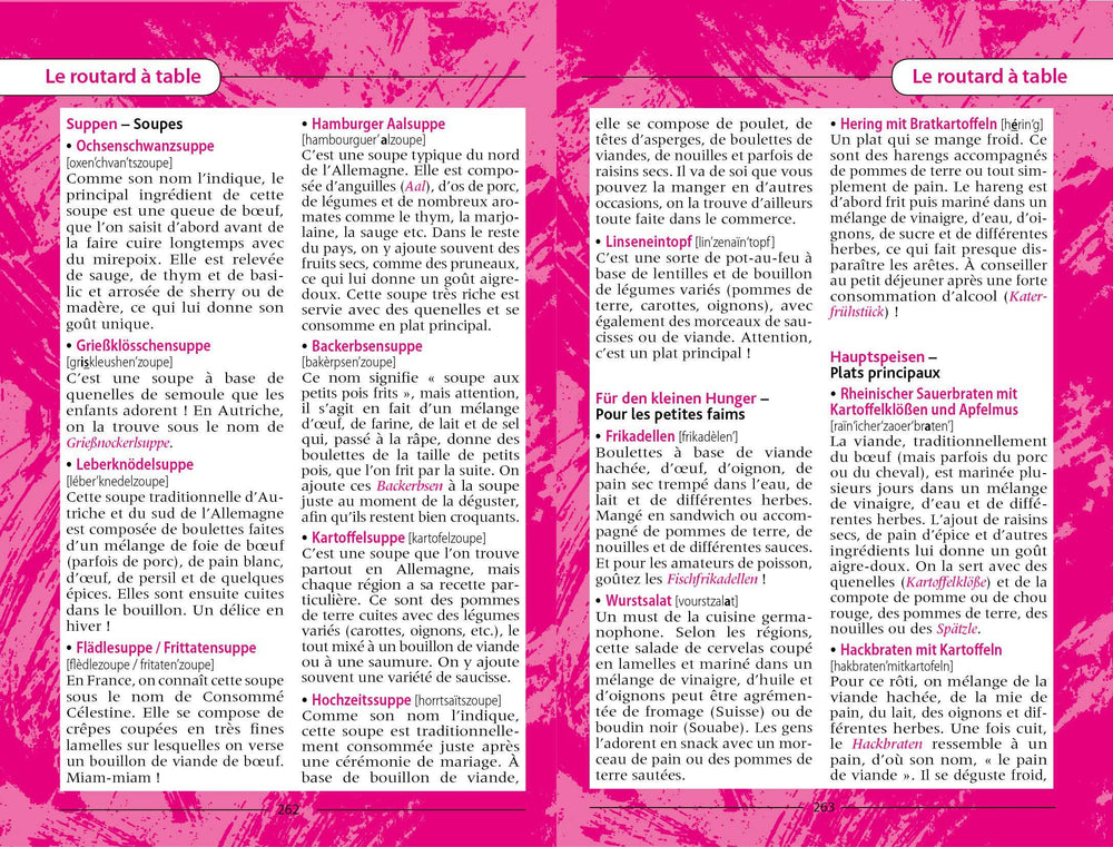 Guide de conversation Allemand | Le Routard guide de conversation Hachette 