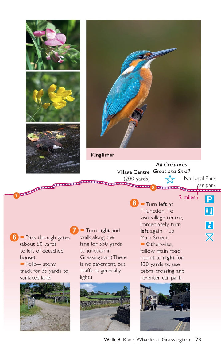 Guide de randonnées (en anglais) - Yorkshire Dales (Angleterre) | Ordnance Survey - Pathfinder guides guide petit format Ordnance Survey 