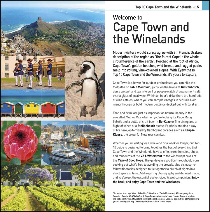 Guide de voyage (en anglais) - Cape Town & the Winelands Top 10 | Eyewitness guide de conversation Eyewitness 