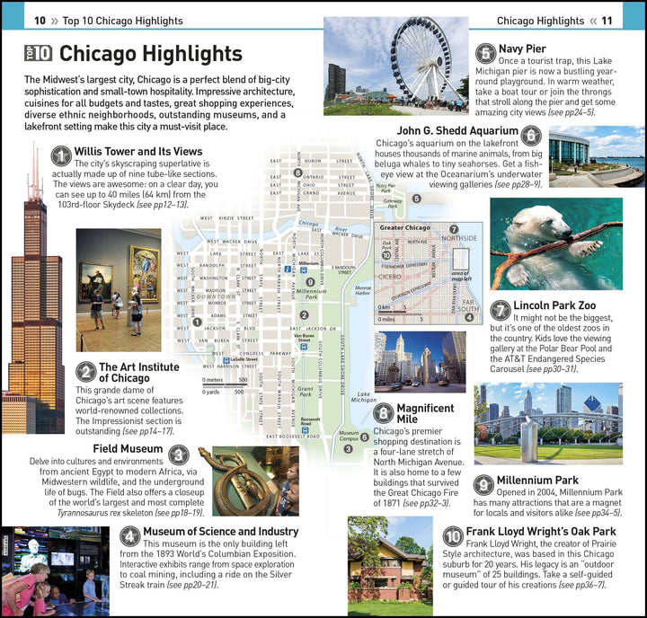 Guide de voyage (en anglais) - Chicago Top 10 | Eyewitness guide de conversation Eyewitness 
