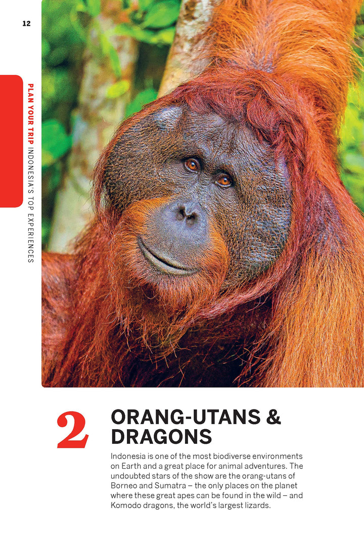 Guide de voyage (en anglais) - Indonesia - Édition 2021 | Lonely Planet guide de voyage Lonely Planet 