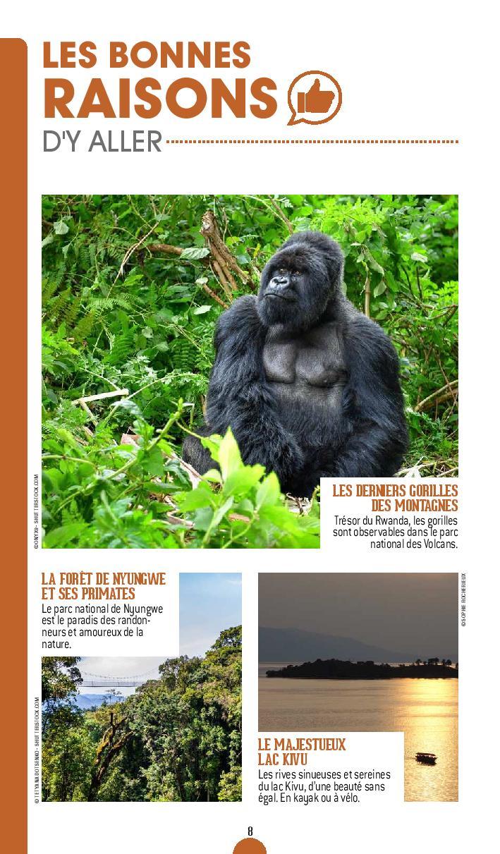 Guide de voyage - Rwanda 2021/22 | Petit Futé guide de voyage Petit Futé 