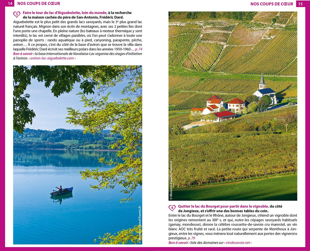 Guide du Routard - Savoie, Mont-Blanc 2020/21 | Hachette guide de voyage Hachette 