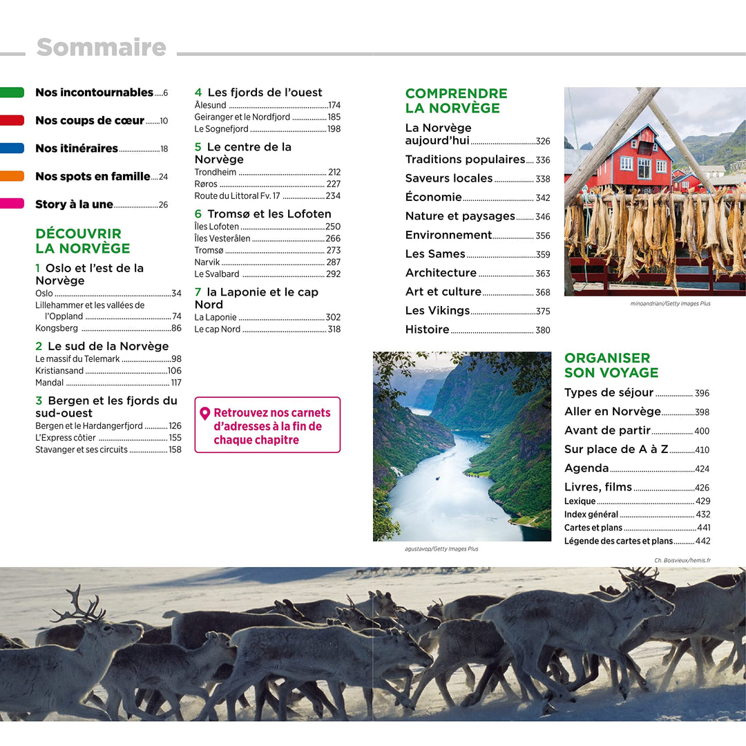 Guide Vert - Norvège - Édition 2023 | Michelin guide de voyage Michelin 