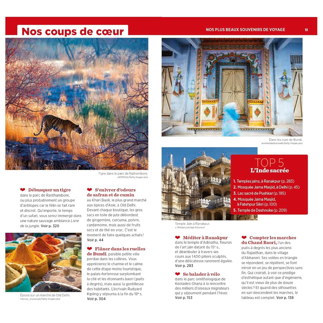 Guide Vert - Rajasthan, Delhi et Agra - Édition 2023 | Michelin guide de voyage Michelin 